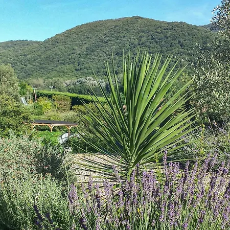 Holiday home Awesome In Sur Orb Le Poujol-sur-Orb