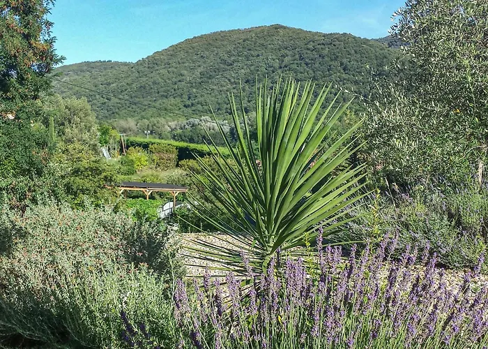 Casa vacanze Lovely In Sur Orb Le Poujol-sur-Orb